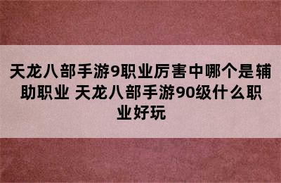 天龙八部手游9职业厉害中哪个是辅助职业 天龙八部手游90级什么职业好玩